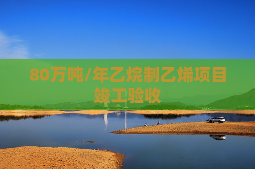 80万吨/年乙烷制乙烯项目竣工验收