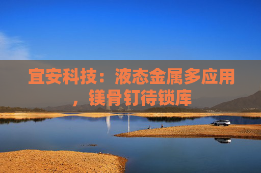 宜安科技:液态金属多应用,镁骨钉待锁库
