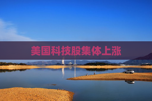 美国科技股集体上涨