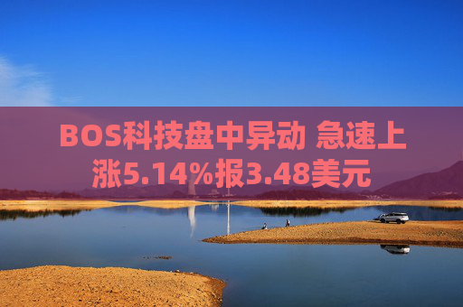 BOS科技盘中异动 急速上涨5.14%报3.48美元
