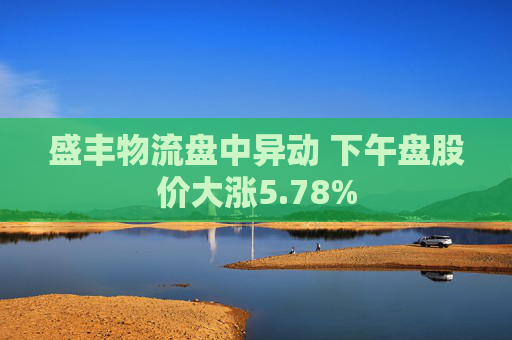 盛丰物流盘中异动 下午盘股价大涨5.78%