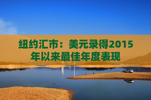 纽约汇市：美元录得2015年以来最佳年度表现