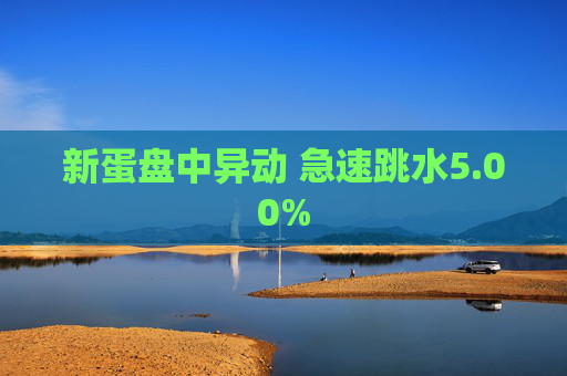 新蛋盘中异动 急速跳水5.00%