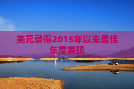 美元录得2015年以来最佳年度表现