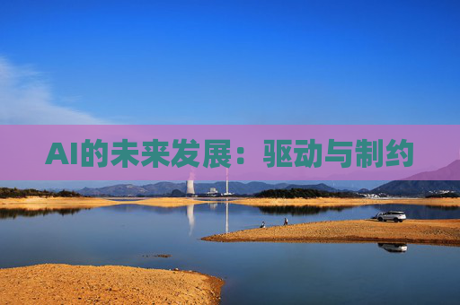 AI的未来发展：驱动与制约