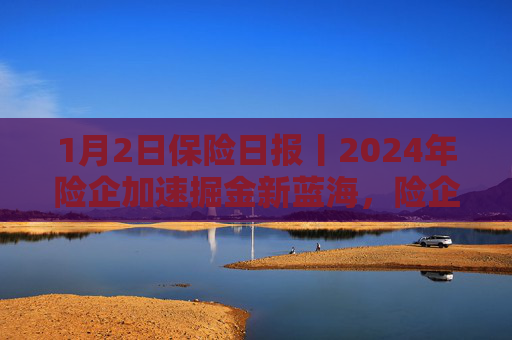 1月2日保险日报丨2024年险企加速掘金新蓝海，险企发债规模创新高！“瘦身”大作战，代理人队伍提质