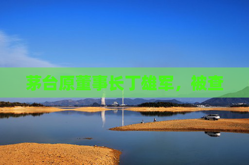 茅台原董事长丁雄军，被查
