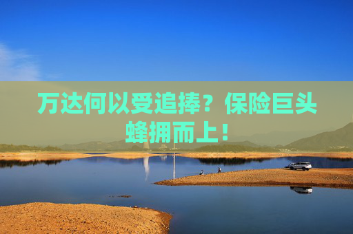 万达何以受追捧？保险巨头蜂拥而上！
