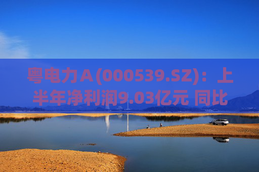 粤电力Ａ(000539.SZ)：上半年净利润9.03亿元 同比增长5.42%