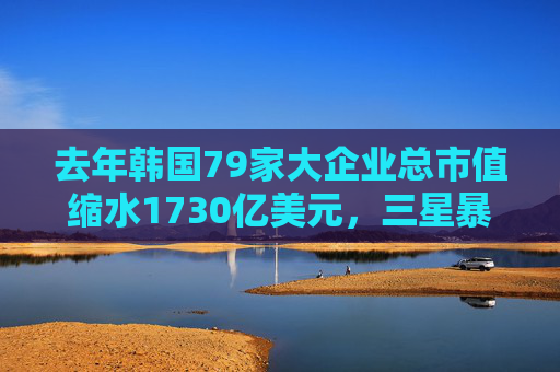 去年韩国79家大企业总市值缩水1730亿美元，三星暴跌近四分之一