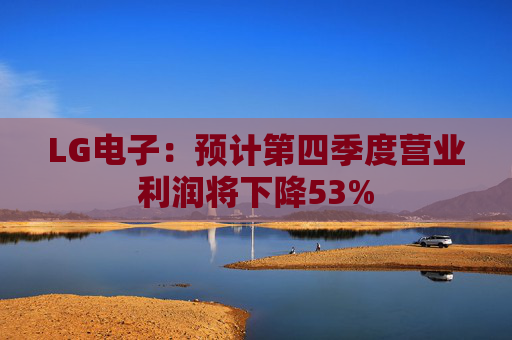 LG电子：预计第四季度营业利润将下降53%