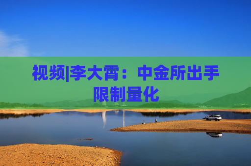 视频|李大霄：中金所出手限制量化