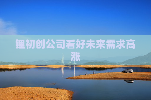 锂初创公司看好未来需求高涨