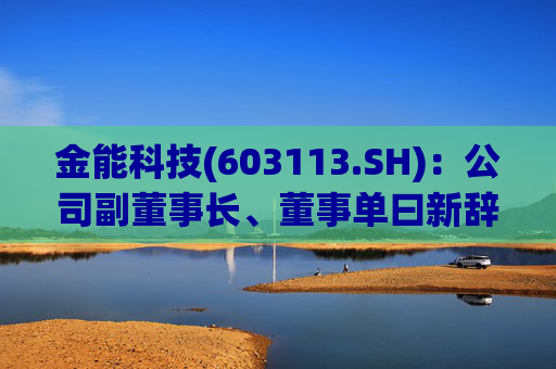 金能科技(603113.SH)：公司副董事长、董事单曰新辞职，持有公司股份130.42万股