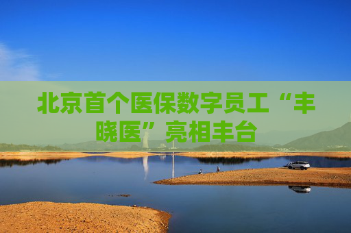 北京首个医保数字员工“丰晓医”亮相丰台