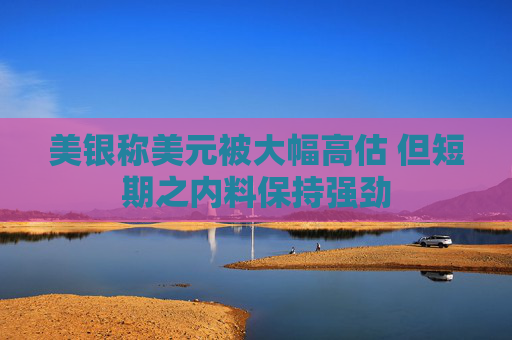 美银称美元被大幅高估 但短期之内料保持强劲