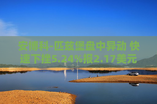 安博科-匹兹堡盘中异动 快速下挫5.24%报2.17美元
