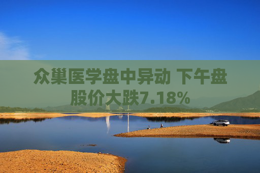 众巢医学盘中异动 下午盘股价大跌7.18%