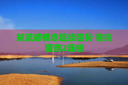 抗流感概念延续强势 鲁抗医药2连板