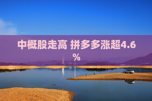 中概股走高 拼多多涨超4.6%