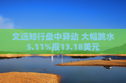 文远知行盘中异动 大幅跳水5.11%报13.18美元