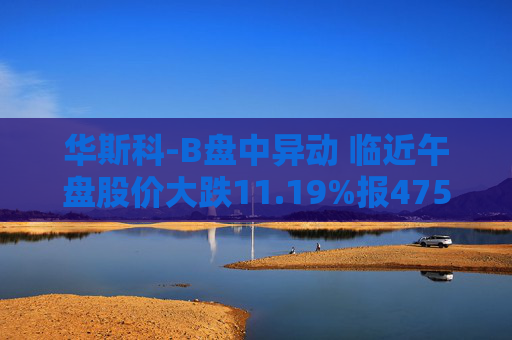 华斯科-B盘中异动 临近午盘股价大跌11.19%报475.15美元