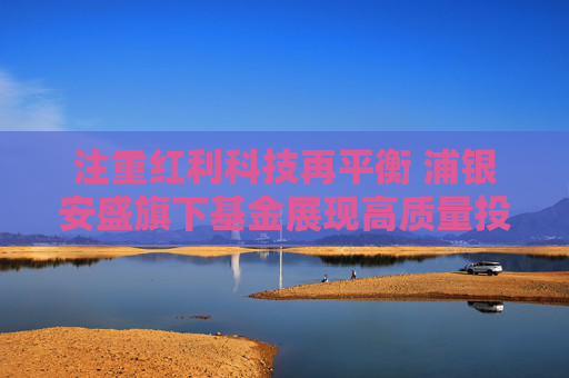 注重红利科技再平衡 浦银安盛旗下基金展现高质量投资业绩