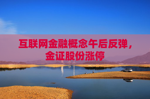 互联网金融概念午后反弹，金证股份涨停