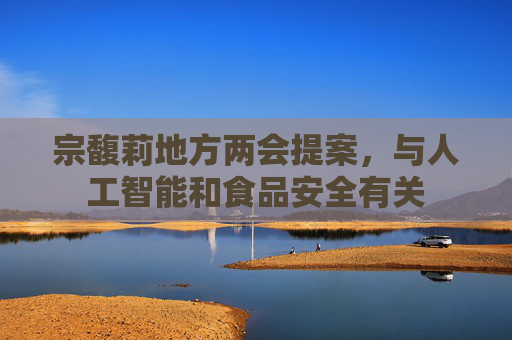 宗馥莉地方两会提案，与人工智能和食品安全有关