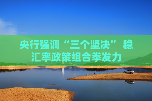 央行强调“三个坚决” 稳汇率政策组合拳发力
