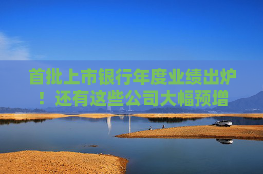 首批上市银行年度业绩出炉！还有这些公司大幅预增