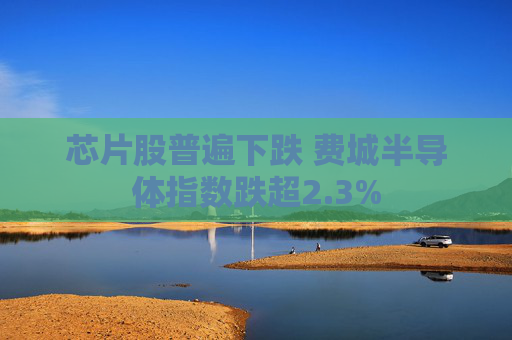 芯片股普遍下跌 费城半导体指数跌超2.3%