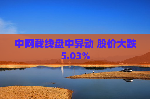 中网载线盘中异动 股价大跌5.03%