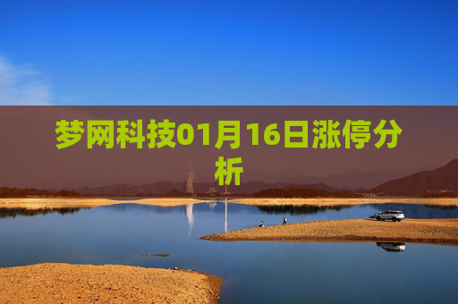 梦网科技01月16日涨停分析