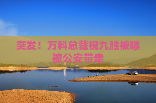 突发！万科总裁祝九胜被曝被公安带走