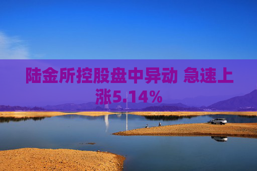 陆金所控股盘中异动 急速上涨5.14%