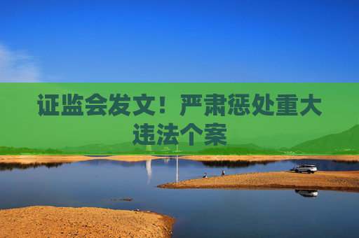证监会发文！严肃惩处重大违法个案