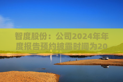 智度股份：公司2024年年度报告预约披露时间为2025年4月28日