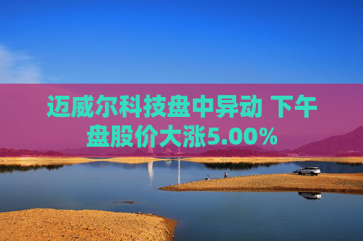 迈威尔科技盘中异动 下午盘股价大涨5.00%