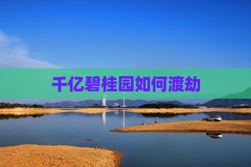 千亿碧桂园如何渡劫