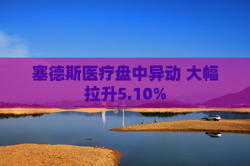 塞德斯医疗盘中异动 大幅拉升5.10%