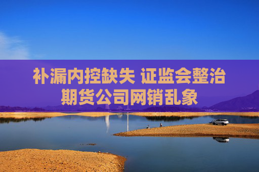 补漏内控缺失 证监会整治期货公司网销乱象