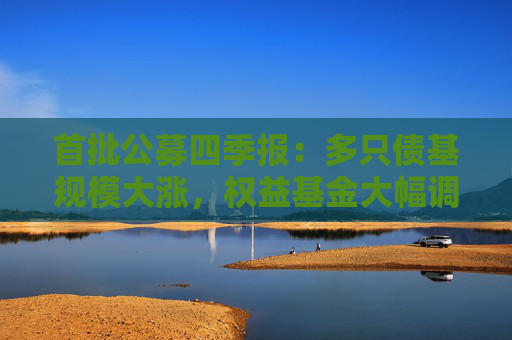 首批公募四季报：多只债基规模大涨，权益基金大幅调仓