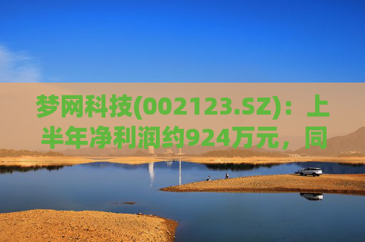 梦网科技(002123.SZ)：上半年净利润约924万元，同比减少77.03%