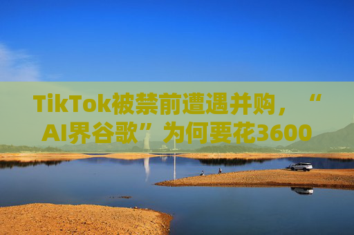 TikTok被禁前遭遇并购，“AI界谷歌”为何要花3600亿买它？