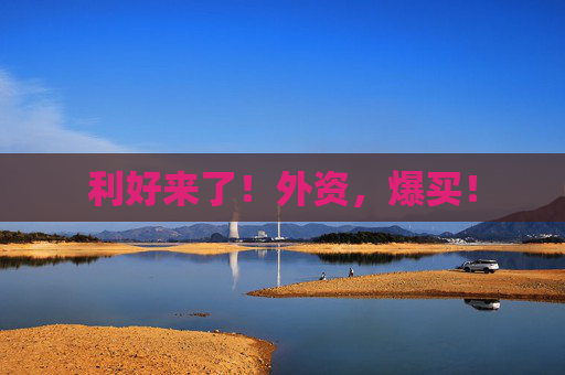 利好来了！外资，爆买！