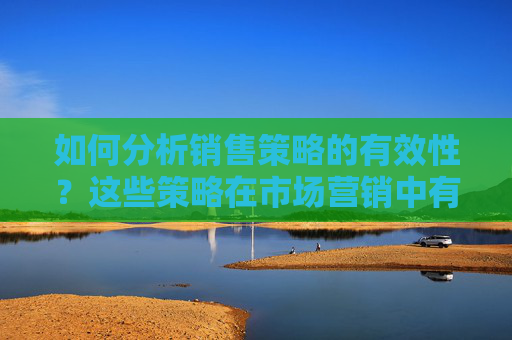 如何分析销售策略的有效性？这些策略在市场营销中有什么核心作用？