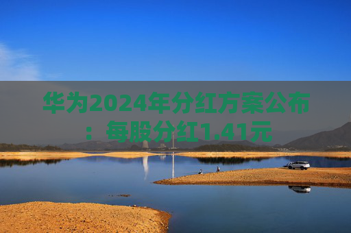 华为2024年分红方案公布：每股分红1.41元