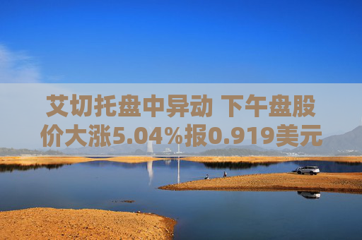 艾切托盘中异动 下午盘股价大涨5.04%报0.919美元