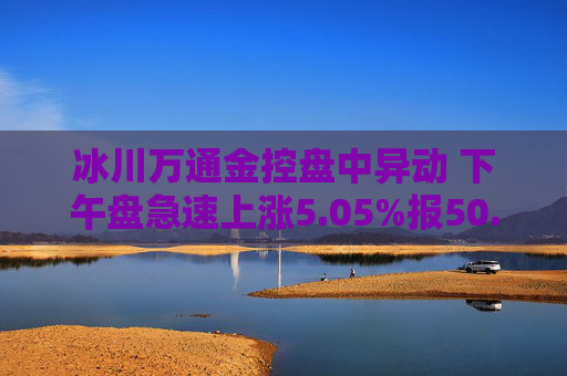 冰川万通金控盘中异动 下午盘急速上涨5.05%报50.58美元